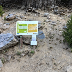 2020 Benasque y Guardo